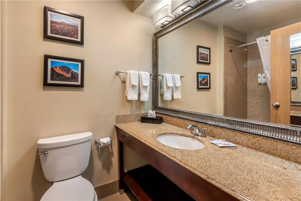 COMFORT INN & SUITES DURANGO-guestroom-Guest Room,Bathroom,On-Site.jpg