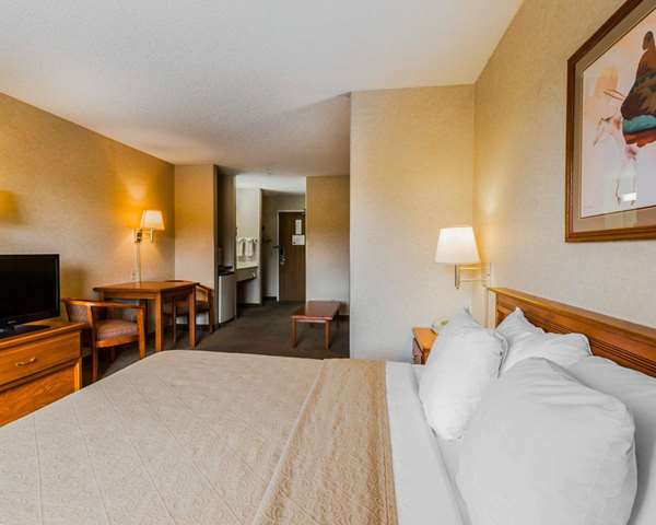 Suite - Quality Inn & Suites Montrose
