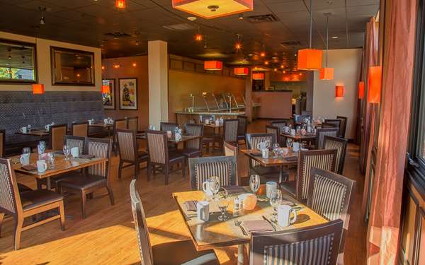 Restaurant - Golden Hotel