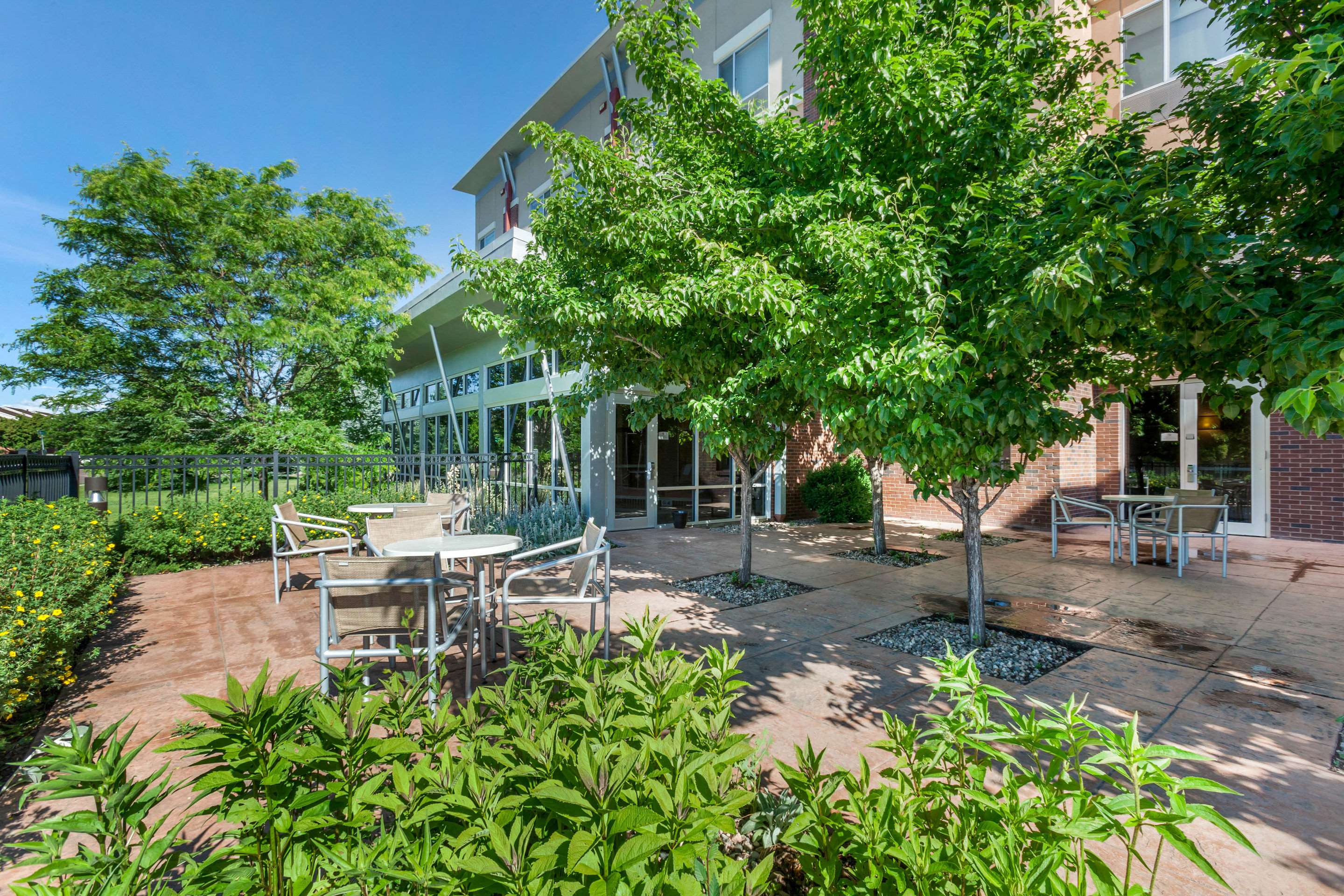 Relax on the sundeck | Cambria Hotel Ft Collins