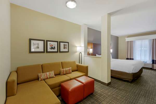 Suite - Comfort Suites Johnstown - I-25, Exit 257