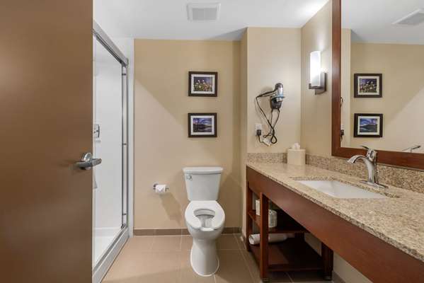 Suite - Comfort Suites Buckley AFB Aurora - I-225, Exits 10 & 10A