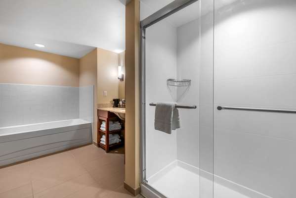 Suite - Comfort Suites Buckley AFB Aurora - I-225, Exits 10 & 10A