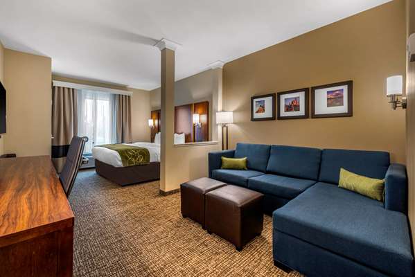 Suite - Comfort Suites Buckley AFB Aurora - I-225, Exits 10 & 10A