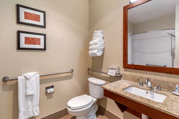 Suite - Comfort Suites Fort Collins