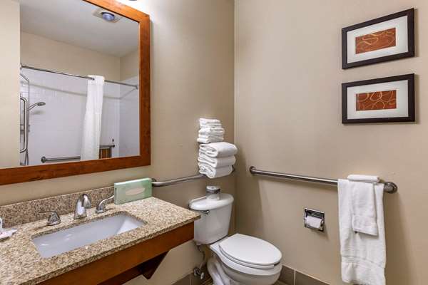 Suite - Comfort Suites Fort Collins