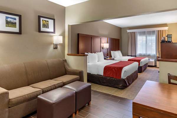 Suite - Comfort Suites Fort Collins