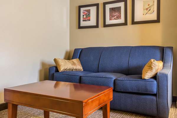 Suite - Comfort Suites Norwich