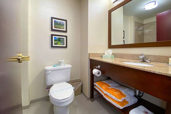 Suite - Comfort Inn East Windsor - I-91, Exit 45