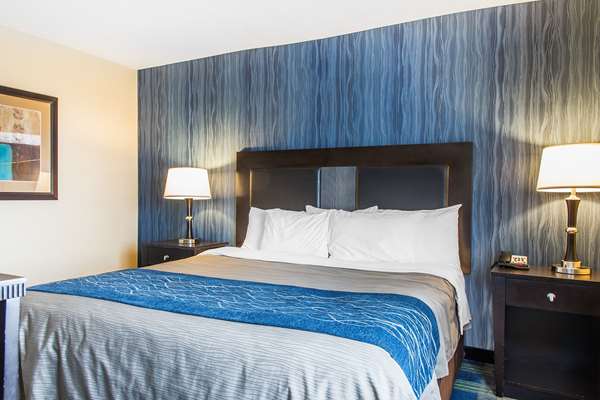 Suite - Comfort Inn & Suites Meriden - I-91, Exit 16