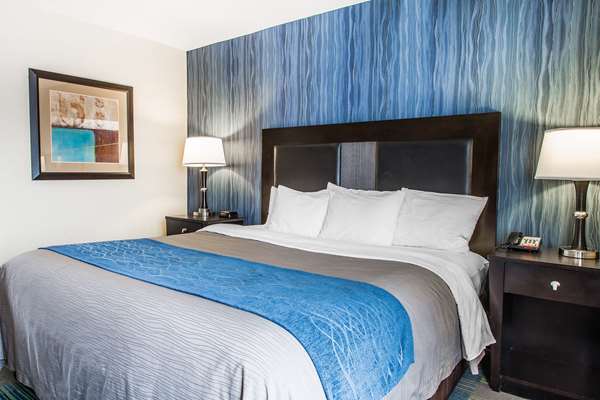 Suite - Comfort Inn & Suites Meriden - I-91, Exit 16