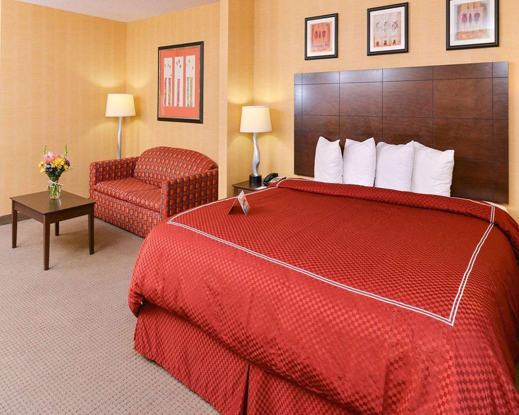 QUALITY SUITES-guestroom-Guest Room,On-Site.jpg