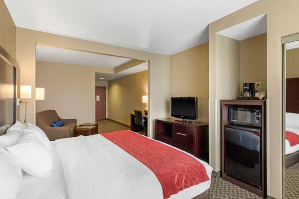 Suite - Comfort Suites Seaford