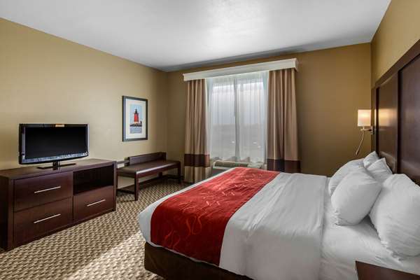 Suite - Comfort Suites Seaford