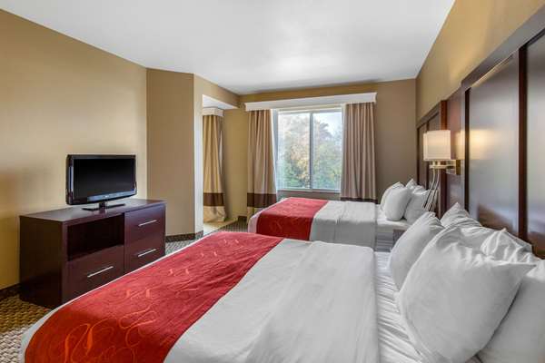Suite - Comfort Suites Seaford