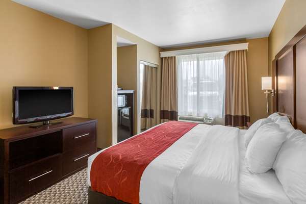 Suite - Comfort Suites Seaford