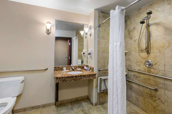Suite - Comfort Suites Seaford