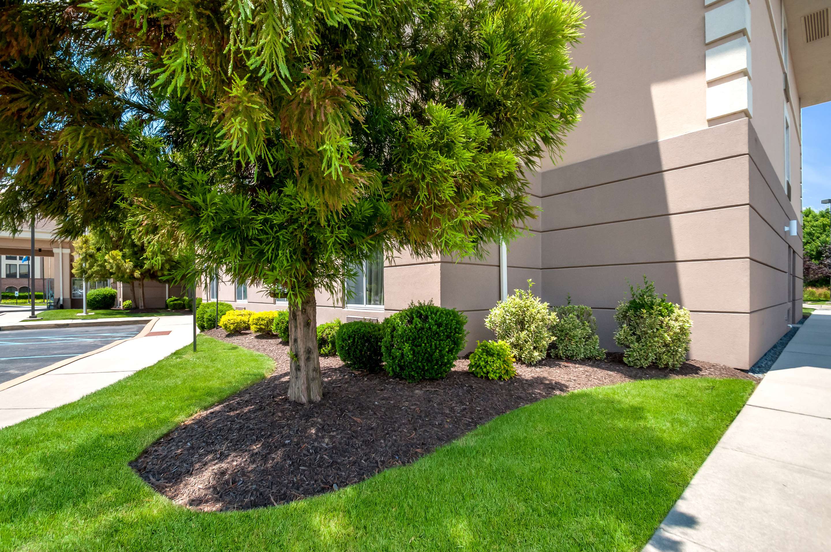 Hotel exterior | Sleep Inn And Suites