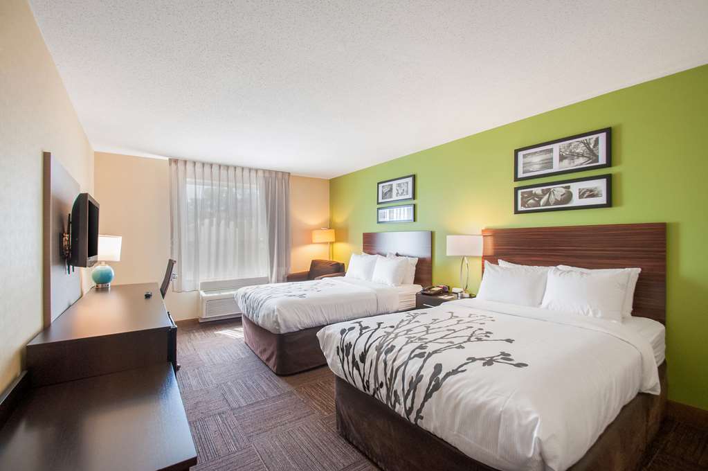 SLEEP INN AND SUITES DOVER-guestroom-Guest Room,On-Site.jpg