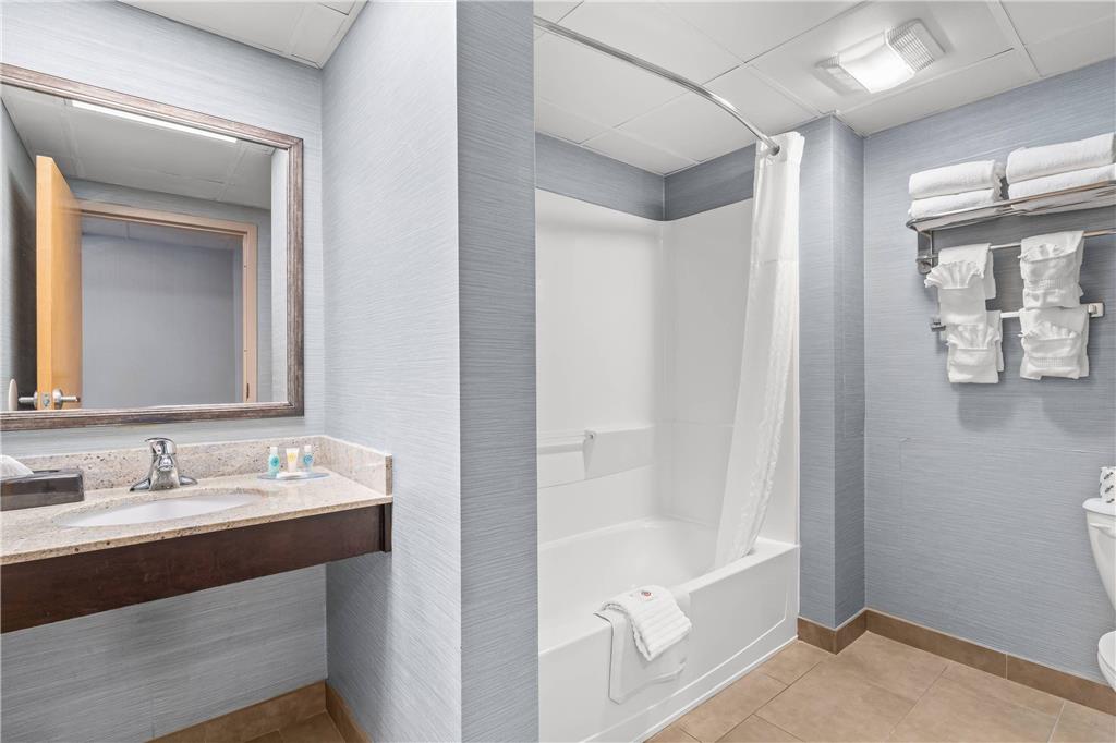 COMFORT INN REHOBOTH BEACH-guestroom-Guest Room,Bathroom,On-Site.jpg
