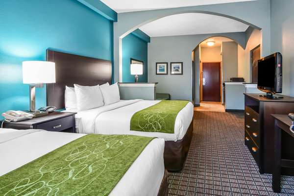 Suite - Comfort Suites Southeast Tampa - I-75, Exit 257
