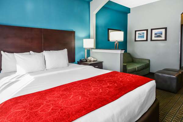 Suite - Comfort Suites Southeast Tampa - I-75, Exit 257