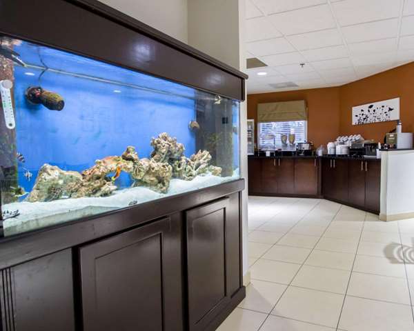 Amenities - Sleep Inn Ormond Beach - I-95, Exit 268