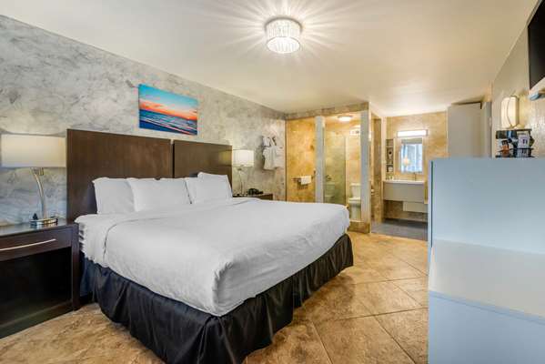  - Quality Inn & Conference Center Tampa - I-75, Exit 257