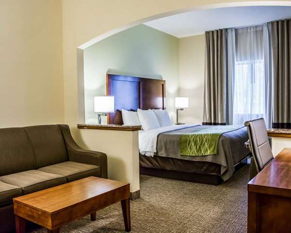 Suite - Comfort Inn Boatways Road Fort Myers - I-75, Exit 141