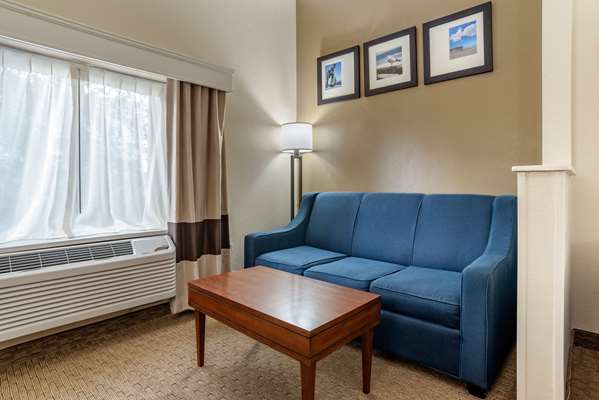 Suite - Comfort Suites Airport Jacksonville - I-95, Exit 363