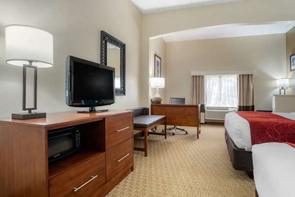 Suite - Comfort Suites Airport Jacksonville - I-95, Exit 363