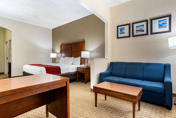 Suite - Comfort Suites Airport Jacksonville - I-95, Exit 363