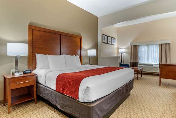 Suite - Comfort Suites Airport Jacksonville - I-95, Exit 363