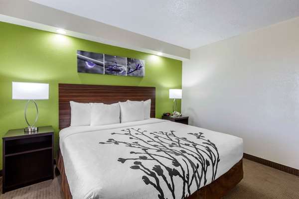 Suite - Sleep Inn Temple Terrace - I-75, Exit 266