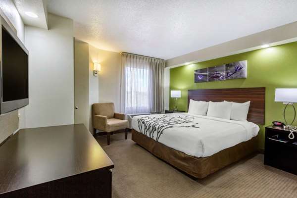 Suite - Sleep Inn Temple Terrace - I-75, Exit 266