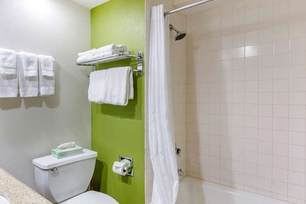 Suite - Sleep Inn Temple Terrace - I-75, Exit 266