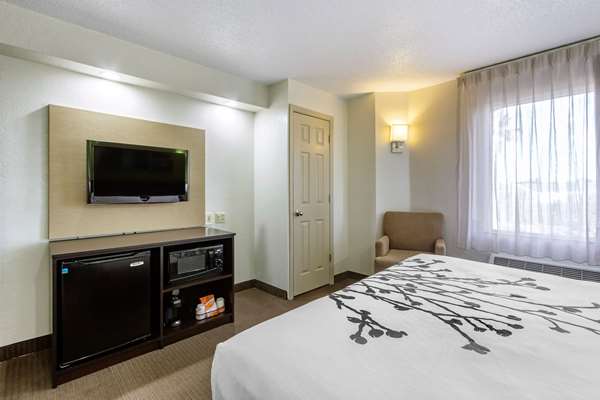 Suite - Sleep Inn Temple Terrace - I-75, Exit 266