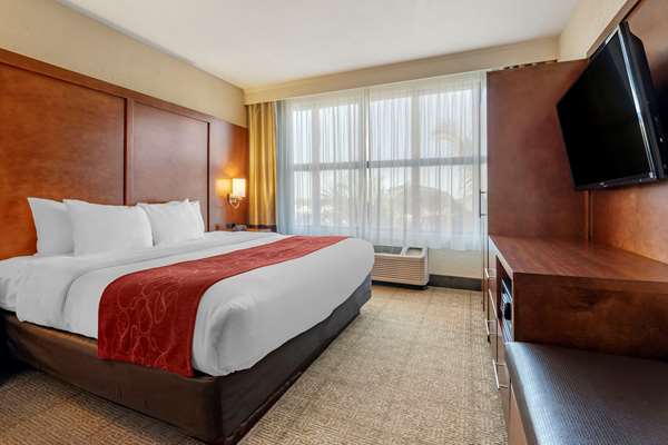 Suite - Comfort Suites Miami - FL Turnpike, Exit 23