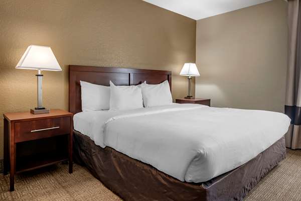 Suite - Comfort Inn Deland - I-4, Exit 114