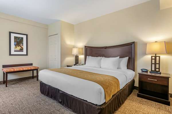 Suite - Comfort Suites Maingate East Kissimmee - I-4, Exit 64A