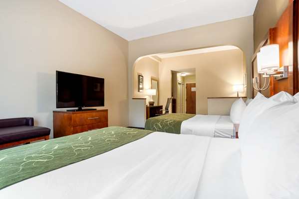 Suite - Comfort Suites Downtown Tallahassee