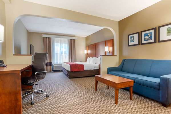 Suite - Comfort Suites Downtown Tallahassee