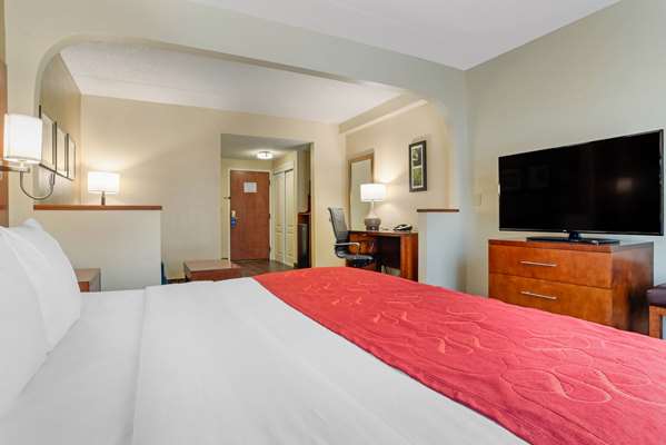 Suite - Comfort Suites Downtown Tallahassee