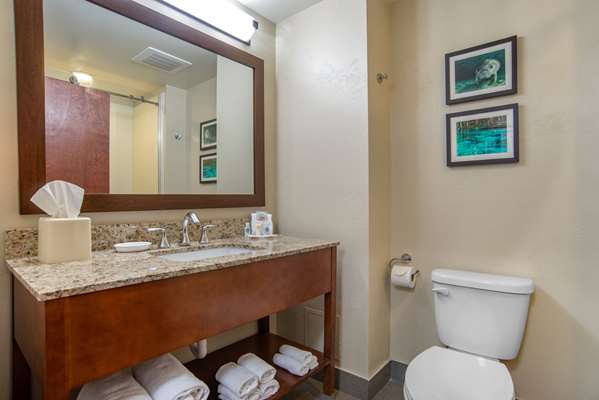 Suite - Comfort Suites Downtown Tallahassee