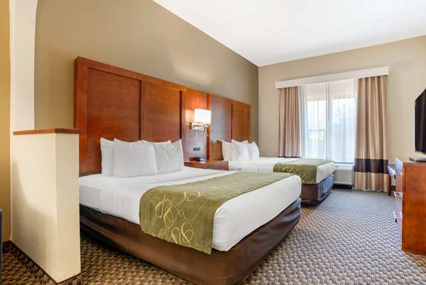 Suite - Comfort Suites Downtown Tallahassee