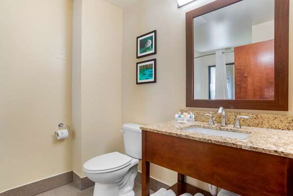 Suite - Comfort Suites Downtown Tallahassee