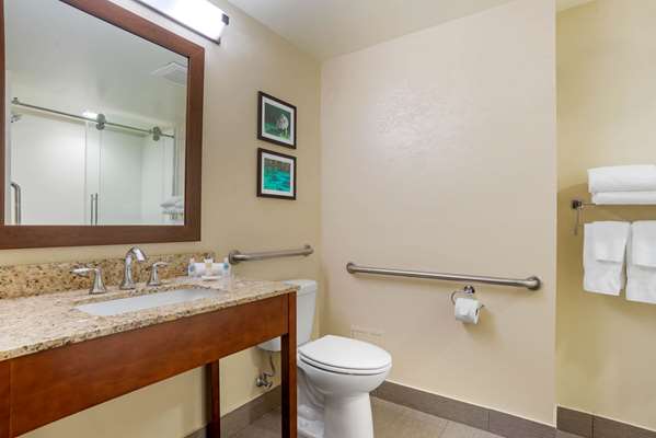 Suite - Comfort Suites Downtown Tallahassee
