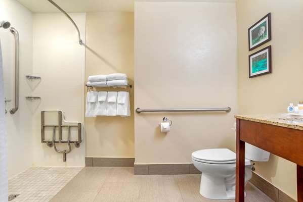 Suite - Comfort Suites Downtown Tallahassee