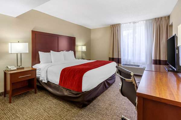 Suite - Comfort Inn North St Petersburg