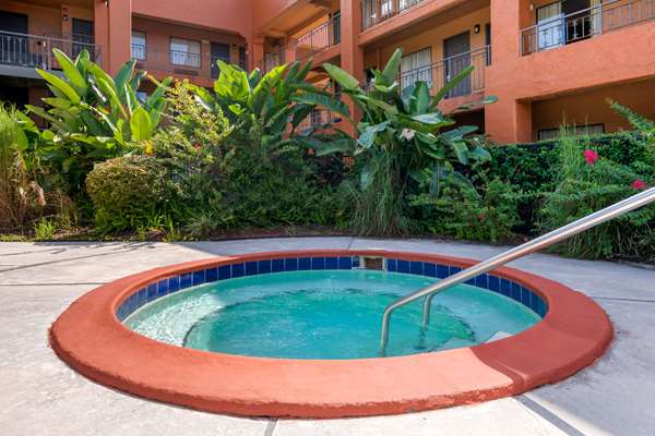Pool - Quality Inn & Suites Jacksonville - I-95, Exit 341